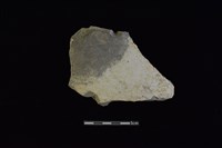 陶片藏品圖，第1張